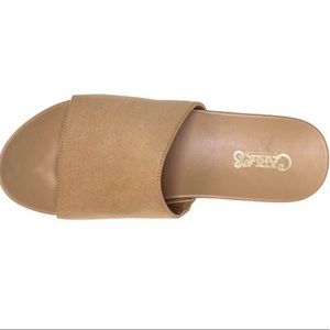 Carlos by Carlos Santana